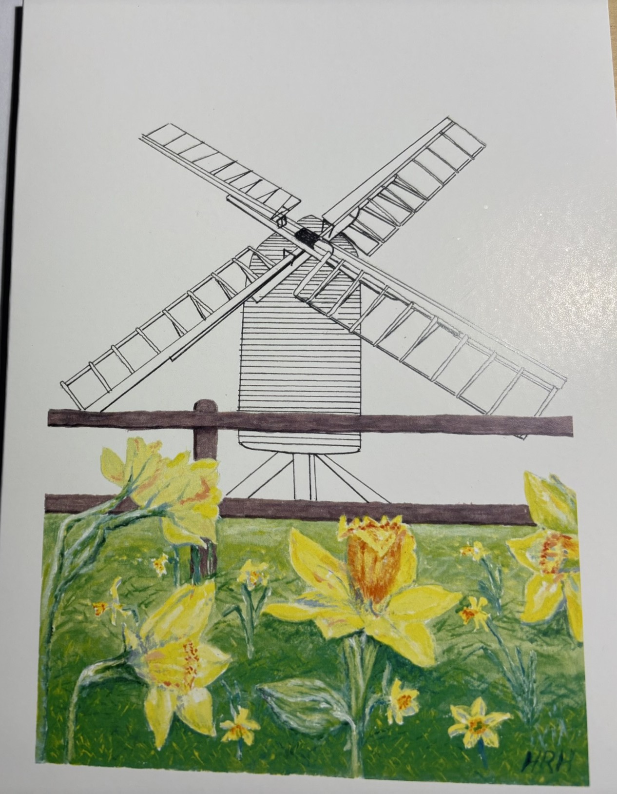 Spring at the windmill